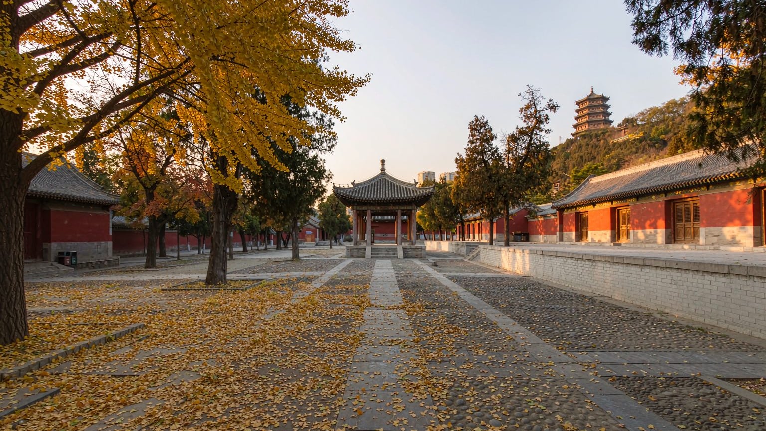A quiet temple courtyard in autumn light