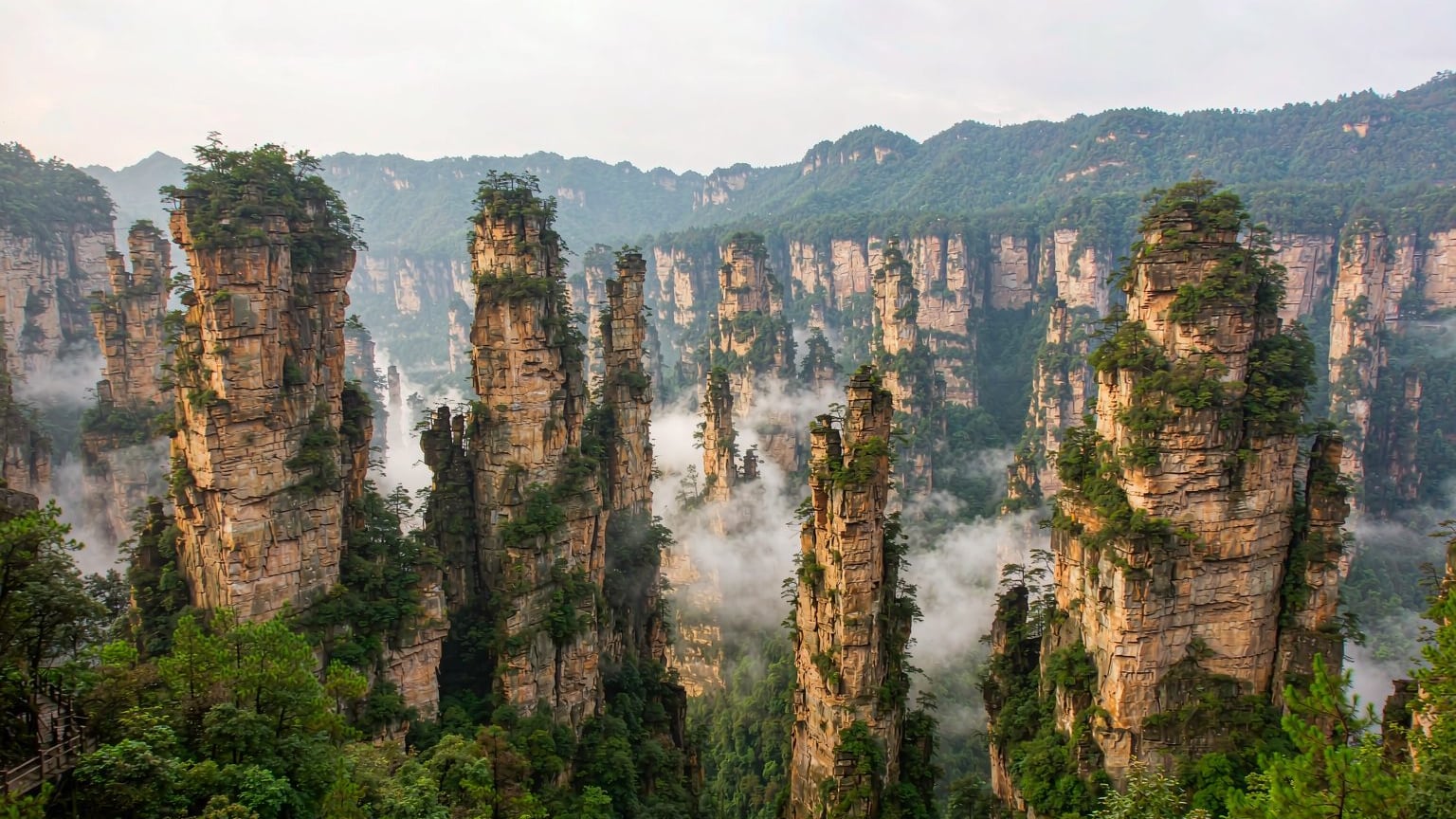 The sandstone pillars of Zhangjiajie National Forest Park in mist